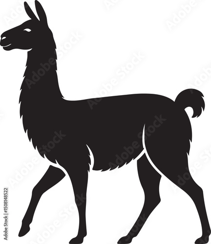 Walking llama elegant black silhouette, Graceful camelid walking pose