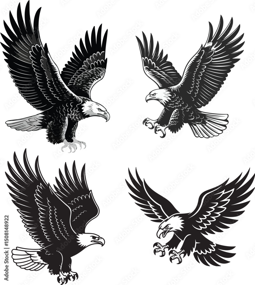 Obraz premium Bald Eagle Flying Landing Pouncing Set - Vector Designs