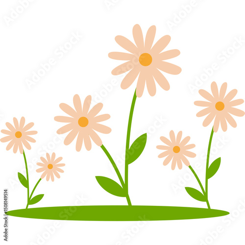 Hand Drawn Flower