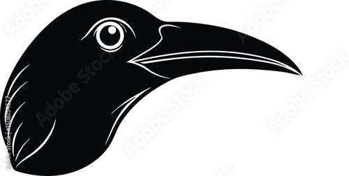 Detailed beak design in abstract bird theme vector art illustration