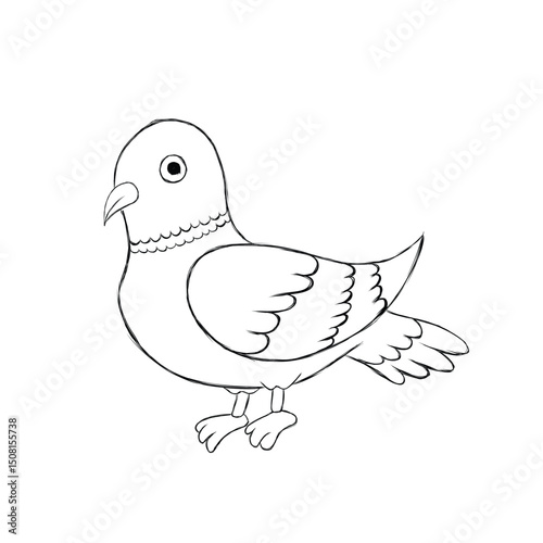 Vector sketch of a pigeon. bird line art drawing. pigeon hand drawn line art drawing. pigeon sketch