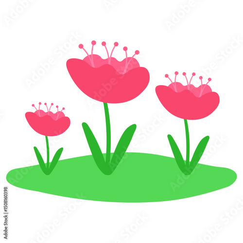 Hand Drawn Flower