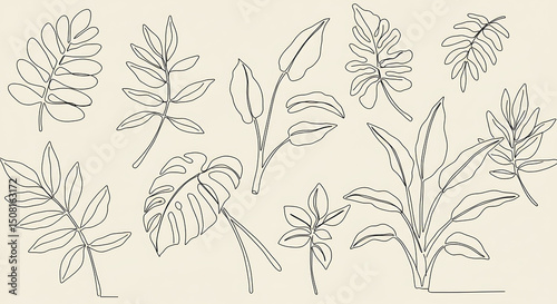Elegant Line Art Botanical Prints Tropical Leaves Plants Minimalist Design