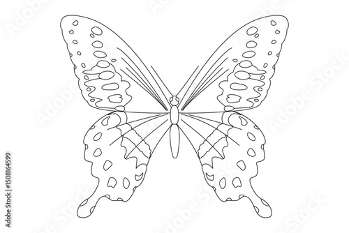 vector realistic butterfly. Cartoon black and white clip art isolated on transparent background. Hand drown design element.