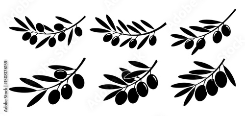 olive branches collection vector illustration in monochrome