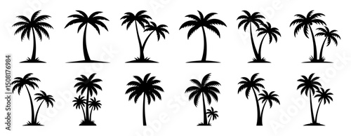 palm tree collection silhouette vector shapes black engraving laser cutting