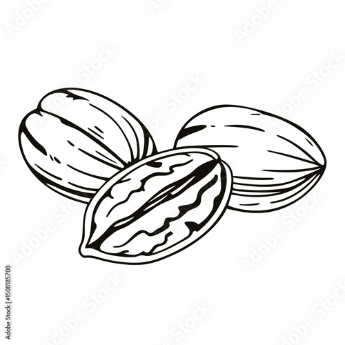 Hand-drawn vector illustration set of organic fruit, vegetable, and nature designs, including apple, bird, and leaf