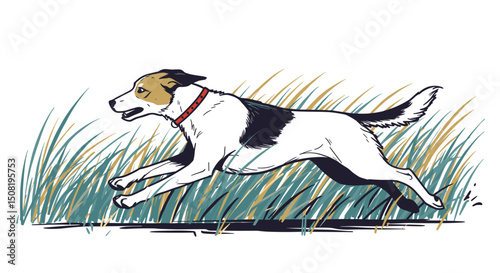 Running dog in tall grass