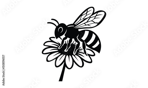 Black and White Bee sitting on a flower Design