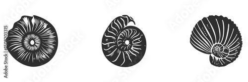 Nautilus Shell Silhouette Set. Marine Fossil Patterns And Natural Design Elements Isolated Vector Illustration Collection
