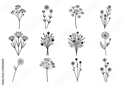 Delicate wildflower line drawing set with thin stemmed meadow flowers, minimalist floral sketches and botanical contour art for nature inspired designs.
