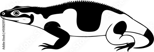 Argentine Black and White vector illustration