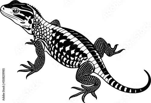 Argentine Black and White vector illustration