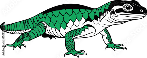 Argentine green and White vector illustration
