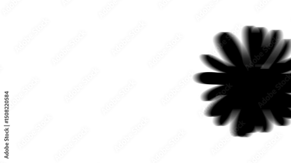Animation set, chamomile flower. Animations: transparency, zooms, transition top to down, transition left to right, slide up to down, slide left to right