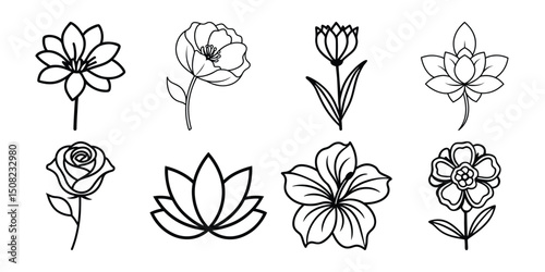 Aesthetic flower contour drawing set with spring blossoms, rose buds and hand sketched floral outlines for minimalist, botanical or vintage designs.