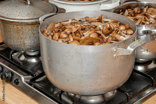 Delicious honey mushrooms in a ceramic plate . Honey fungus (Armillaria mellea) mushrooms in the bowl. Selective focus. Shallow depth of field.Mushrooms in a saucepan.