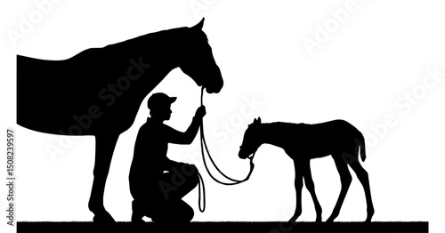 Silhouette of Horse Trainer with Foal and Mare on Celebration of the Horse Day