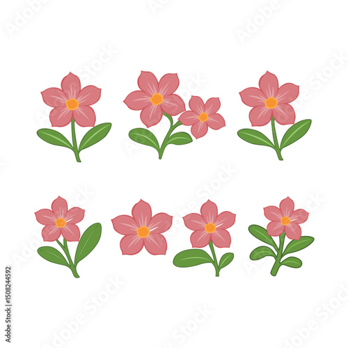 Charming Pink Flower Illustrations A Collection of Delicate Floral Designs