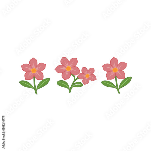 Delicate Pink Flowers Simple Floral Illustrations for Design Projects