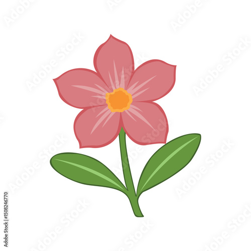 Elegant Pink Flower Illustration Botanical Art Design