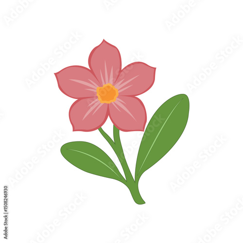 Elegant Pink Flower Illustration Botanical Art, Floral Design, Nature's Beauty