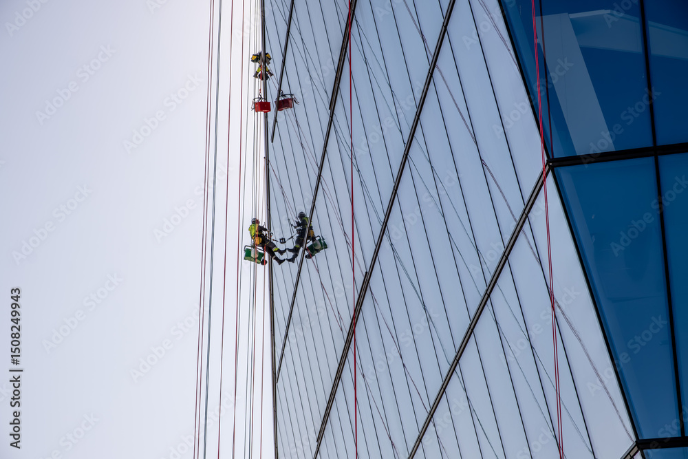 Obraz premium Mountain climbers wash windows in high-rise buildings.