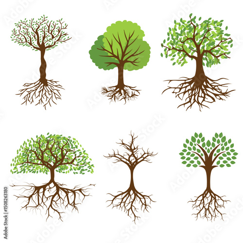 vector set of trees