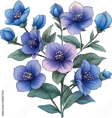 Elegant Bluebell Flower Illustration with Buds and Green Leaves on White
