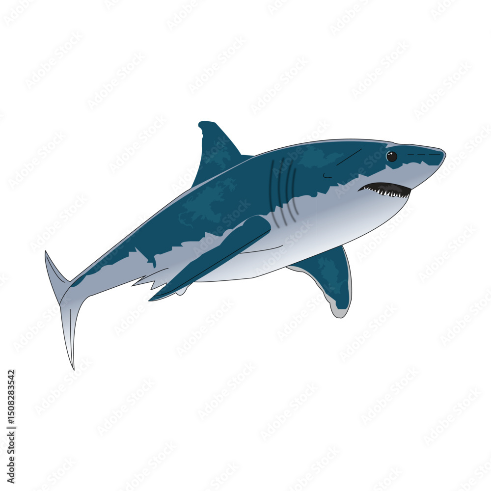 Fototapeta premium A Marine logo with big blue shark and Shark attack