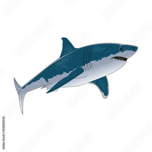 A Marine logo with big blue shark and Shark attack