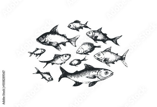 Detailed sketch of various fish species in an artistic composition. Vector retro hand drawn illustration