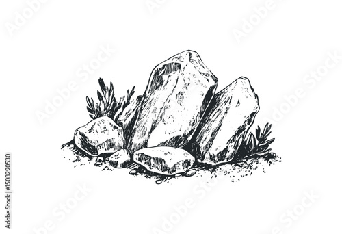 Monochrome sketch of rocks and plants in a natural setting. Vector retro hand drawn illustration