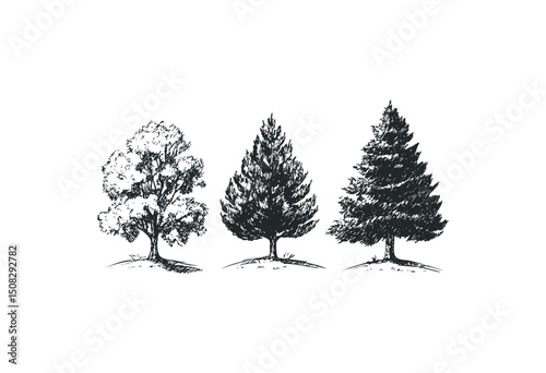 Three artistic tree sketches showcasing varied leaf patterns and shapes. Vector retro hand drawn illustration