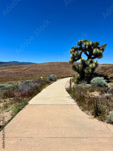 Road path and blue sky 