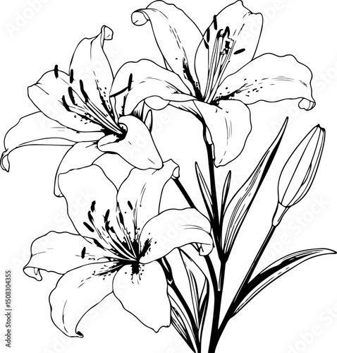 Elegant Stargazer Lily Line Art with Buds and Leaves, Perfect for Coloring and Floral Designs