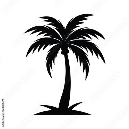 silhouette of palm tree