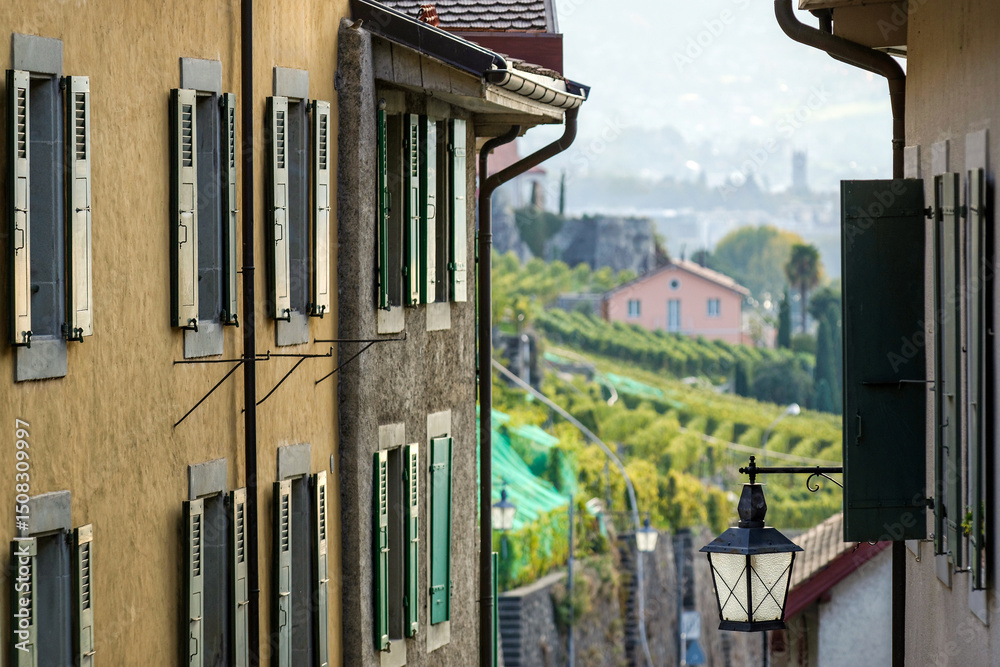 Obraz premium Village dans la région viticole de Lavaux en Suisse