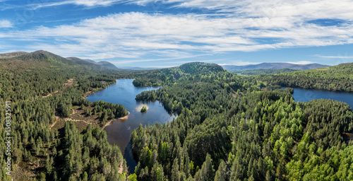 Mountain and Forest landsca...