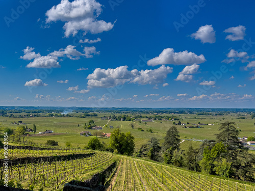 A French Vineyard on the Side of a Hill
