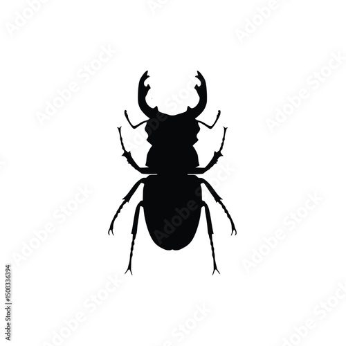 Vector art of Stag beetle insect silhouette isolated on white background