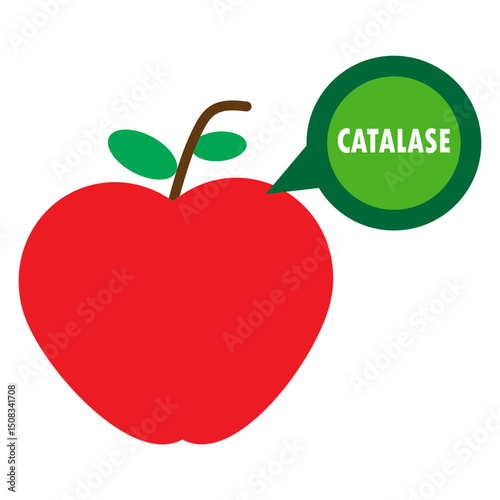 apple with catalase illustration 