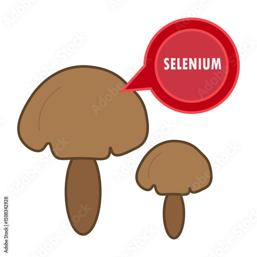 mushroom with selenium illustration 