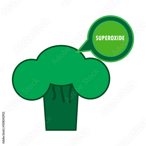 Broccoli with superoxide illustration