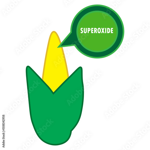corn with superoxide illustration
