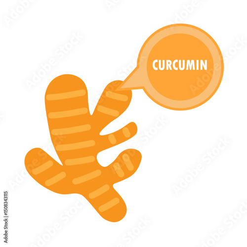 turmeric with curcumin illustration