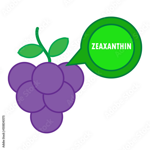 Grape with Zeaxanthin Illustration