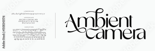 Elegant classic alphabet serif fonts decorative wedding retro concept. Typography Retro vintage alphabet letters fonts and number. vector illustration