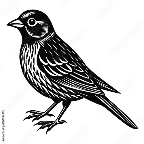 Vector image of a sparrow on a white background. Isolate.