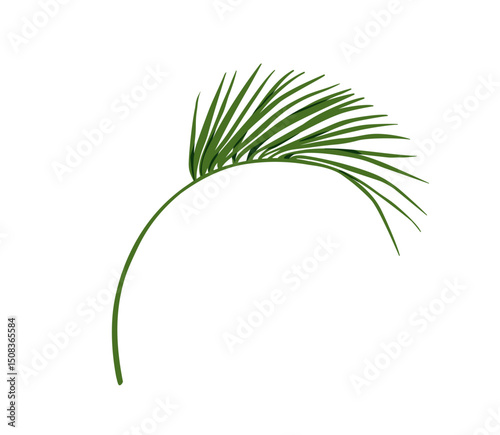 Green palm leaf. Tropical floral branch. Exotic natural sprig. Fresh greenery, plant, bending twig. Botanical design element, organic decoration. Flat vector illustration isolated on white background.